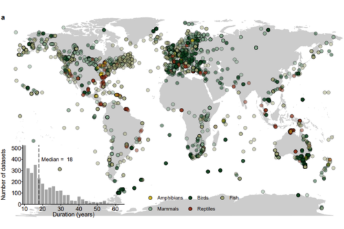 Habitat loss and exploitation are the most prevalent threats impacting vertebrate populations